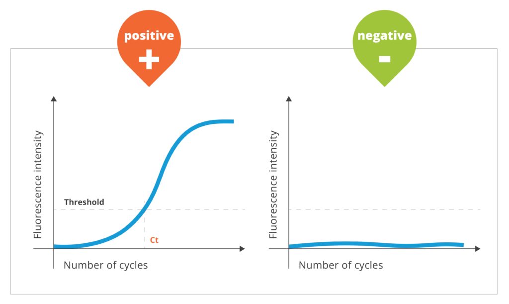 PCR illustration of amplification curves